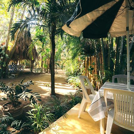 Junto Al Rio Bungalows & Suites Sayulita Kültér fotó