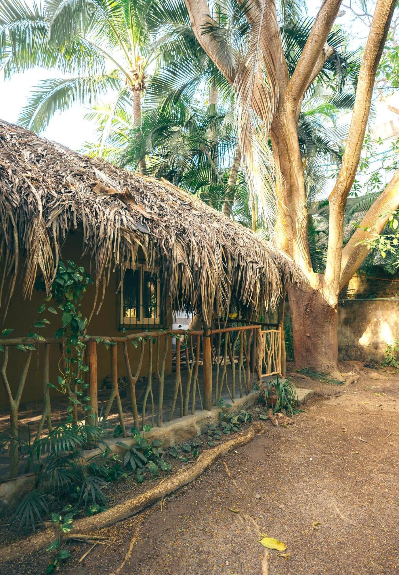 Junto Al Rio Bungalows & Suites Sayulita Kültér fotó