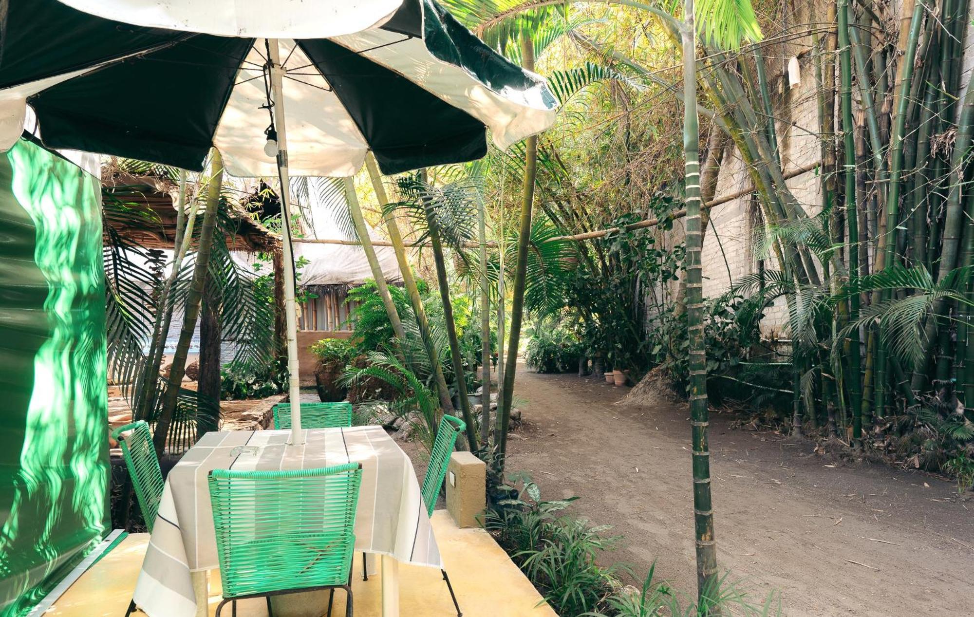 Junto Al Rio Bungalows & Suites Sayulita Kültér fotó