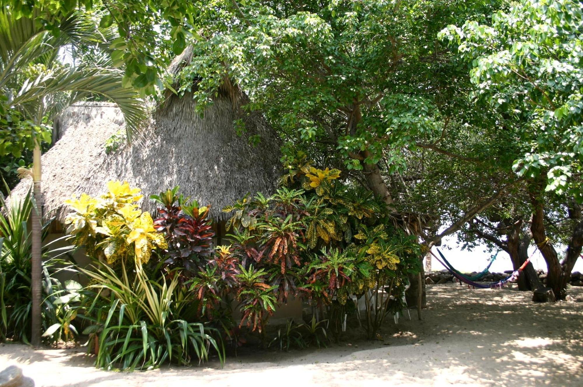 Junto Al Rio Bungalows & Suites Sayulita Kültér fotó