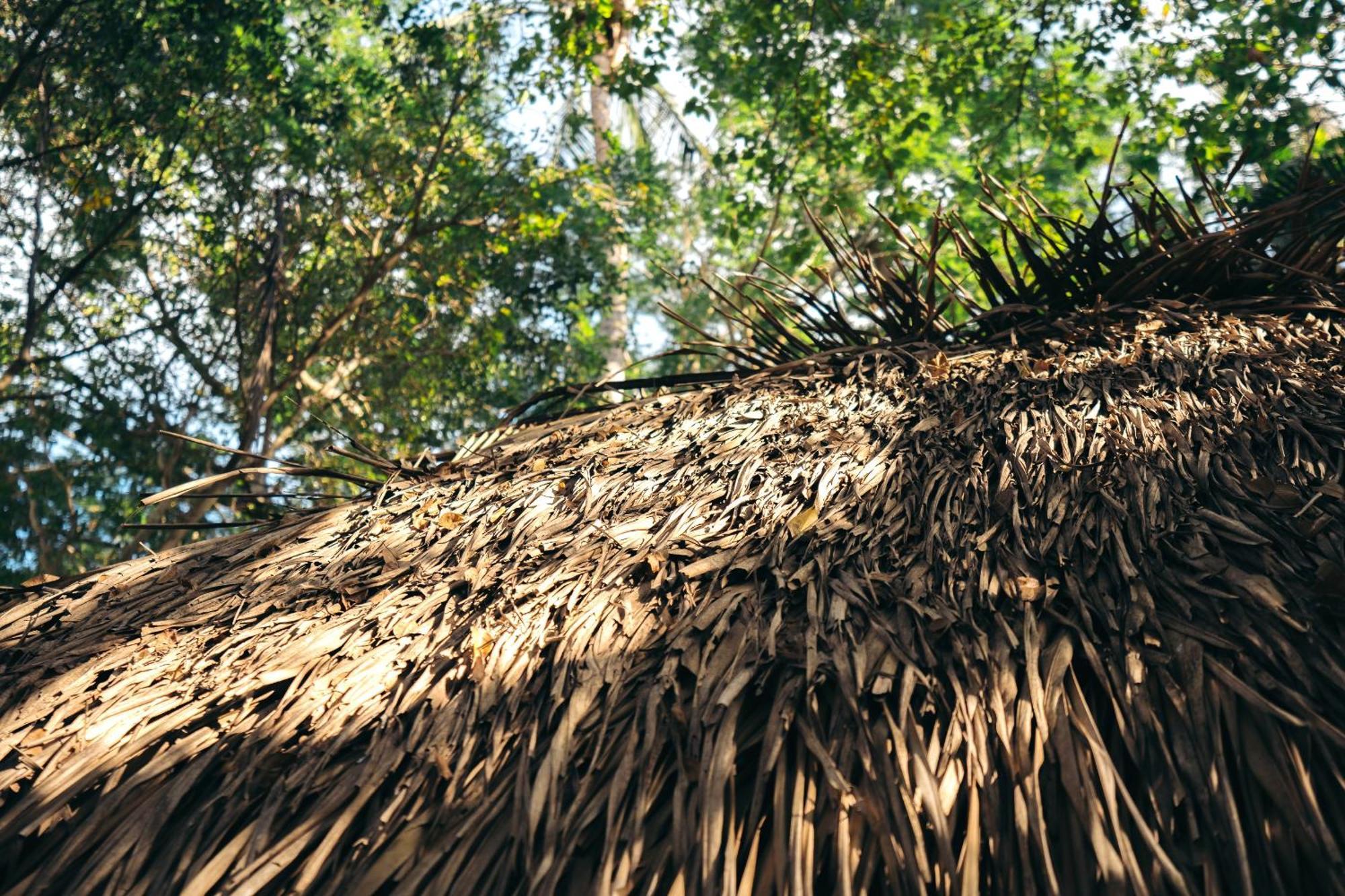 Junto Al Rio Bungalows & Suites Sayulita Kültér fotó