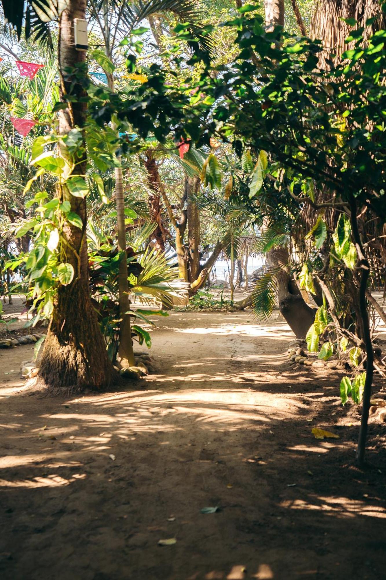 Junto Al Rio Bungalows & Suites Sayulita Kültér fotó