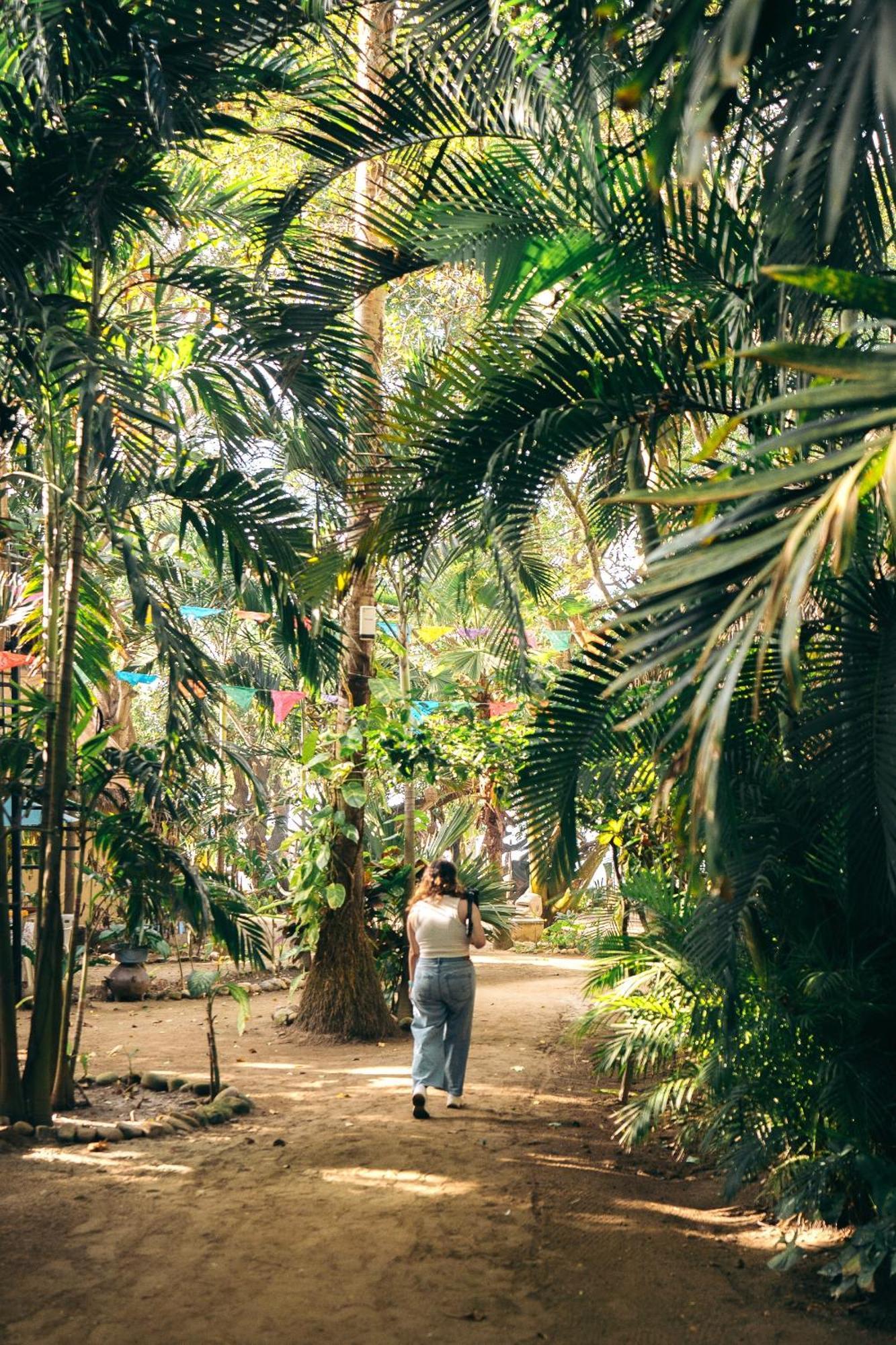 Junto Al Rio Bungalows & Suites Sayulita Kültér fotó