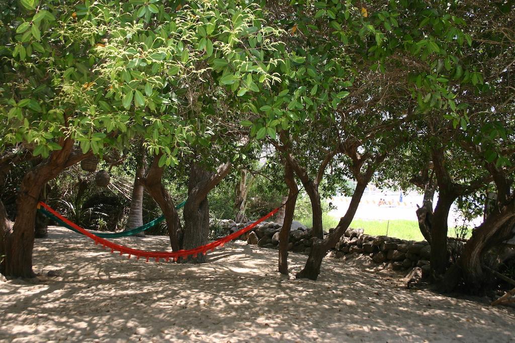 Junto Al Rio Bungalows & Suites Sayulita Kültér fotó